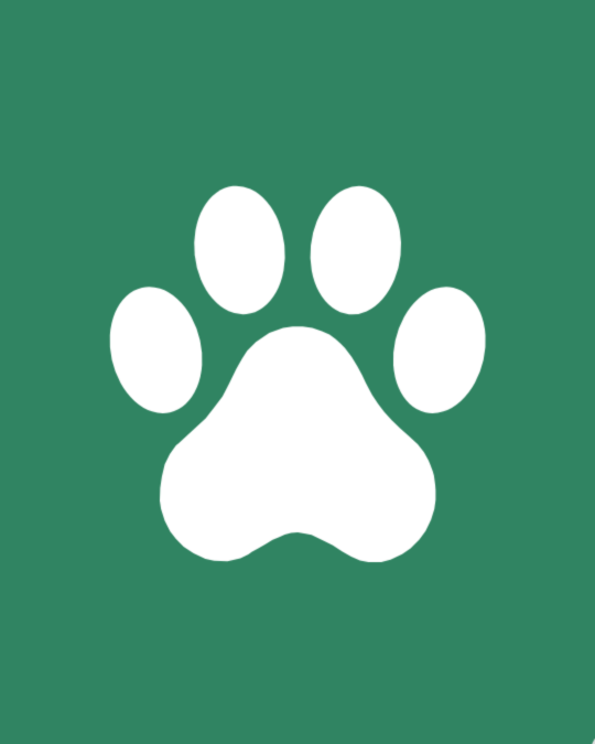 White dog paw logo on a green background representing dog care and pet health.